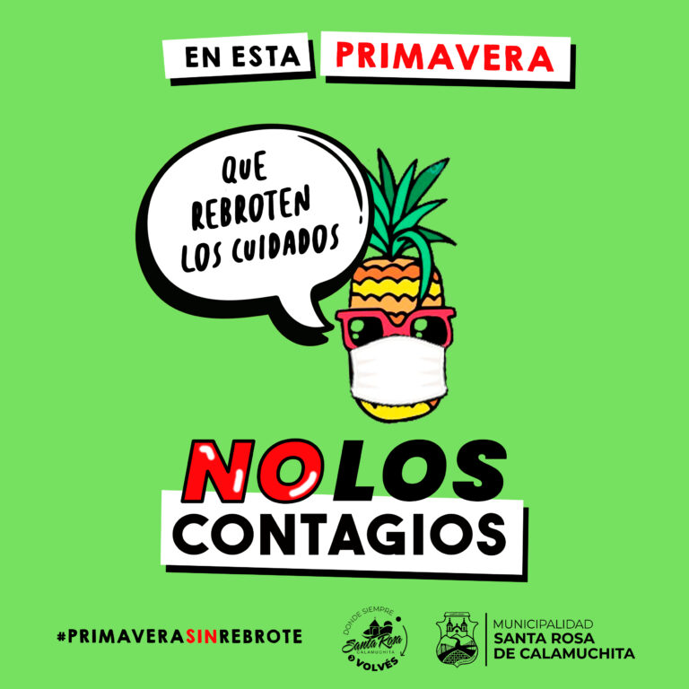 Mesa de trabajo 5 copia