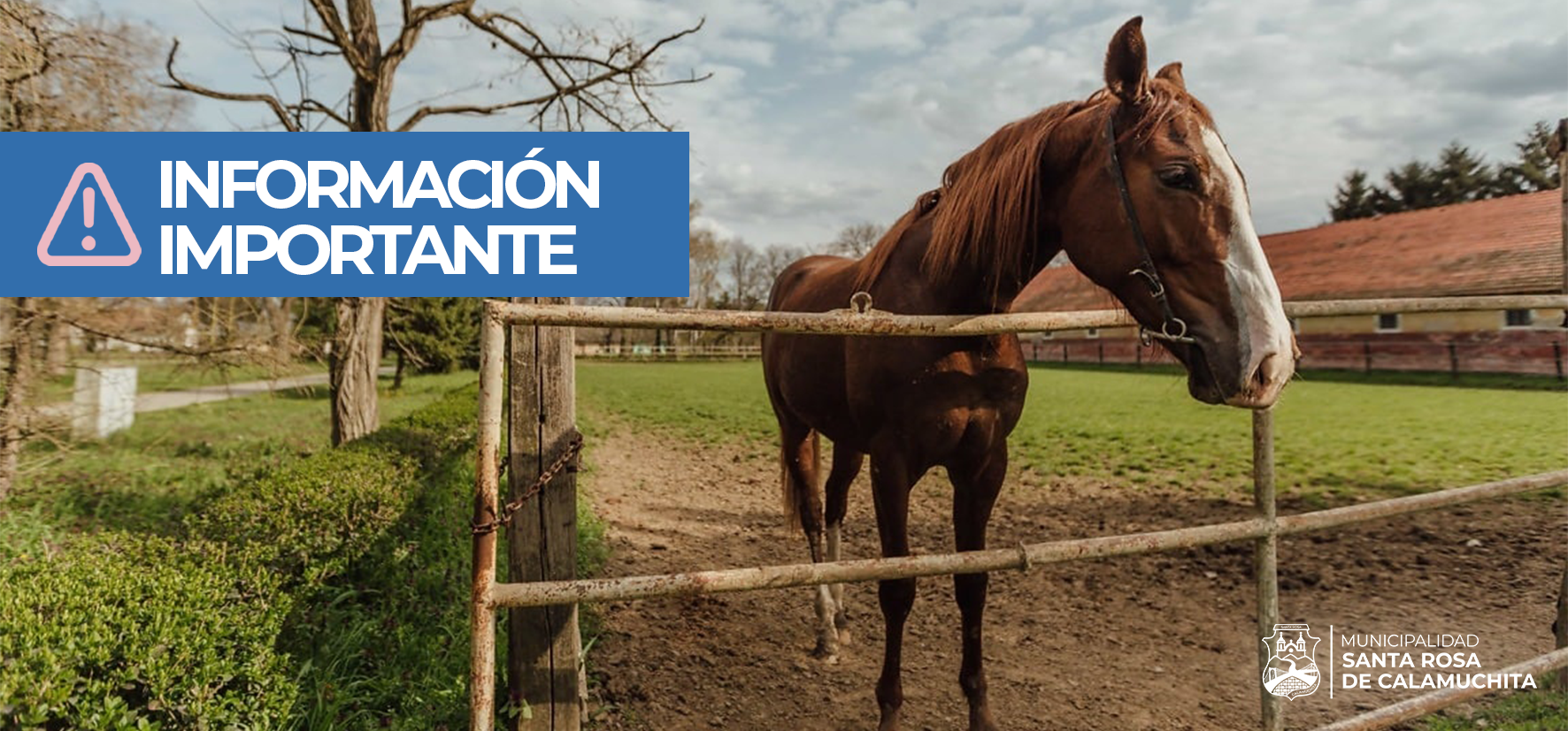 En este momento estás viendo Alerta por brotes de Alphavirus (Encefalomielitis equina)